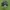 Adidas samba adv Maite steenhoudt  photo 3