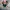 Authentic original official boneka one piece  photo 1