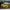 Tomica Toyota Land Cruiser 04 SEGEL ORIGINAL Jepang photo 2