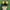 Adidas spezial  photo 6