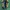 Adidas spezial  photo 5