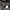 Wilsons boxy leather jacket photo 8