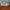 Nike Streetwear Casual Sneakers Pria white photo 1