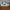 Nike Streetwear Casual Sneakers Pria White