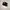 Adidas low  photo 3