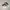Adidas low  photo 1