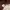 Lee Streetwear Minimalist Casual pants Pria burgundy photo 7