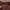 Lee Streetwear Minimalist Casual pants Pria burgundy photo 6