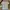 Jersey mancherset united away 2021/22 photo 1