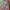 Jersey mancherset united away 2021/22 photo 2