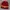Beannie Hat NFL Team Redskins photo 1