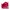 Sportswear Short Pria white red photo 3