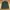 Polo Longsleeve photo 1