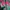 Kaos Nepa Baselayer Green Kaos Gunung Outdoor Hiking Trekkin photo 6