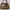 Gucci Shoulder Bag photo 1