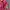 Vintage Streetwear Windbreaker Pria green pink photo 8