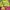 Vintage Streetwear Windbreaker Pria green pink photo 3