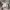 Oakley Vintage Y2K Short Pria white pink photo 3