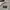 Oakley Vintage Y2K Short Pria white pink photo 4