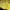 Kaos Nepa Baselayer Yellow Black Kaos Gunung Outdoor Hiking  photo 3
