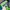 Vintage Streetwear Windbreaker Pria green white photo 6