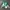 Vintage Streetwear Windbreaker Pria green white photo 2