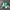 Vintage Streetwear Windbreaker Pria Green White