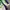 Vintage Streetwear Windbreaker Pria green white photo 8