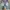 Shortpants Jorts Take Two Japanese Brand - Size 36