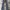 FUBU Vintage Y2K Jeans Pria navy gray photo 2