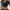 H&M Casual Crop top Wanita green photo 2