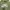 Nike Streetwear Sportswear Hoody Pria green photo 2