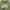 Nike Streetwear Sportswear Hoody Pria Green