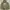 Nike Streetwear Sportswear Hoody Pria green photo 1