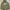 Nike Streetwear Sportswear Hoody Pria Green