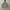 HOODIE CHAMPION UNIVERSITY  photo 1