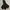 Colshi Outdoor Jacket Gorpcore