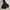 Logos outdoor jacket gorpcore  photo 2