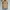 Adidas Casual Vest Pria tan photo 2