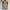 Vintage Vest Pria tan photo 3