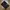 Stussy Vintage Streetwear Sweatshirt Pria black photo 1