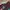 Diamond Supply Co. Vintage Streetwear Sweatshirt Pria burgundy photo 4