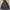 Jack Wolfskin Sportswear Windbreaker Pria black gray photo 1