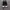 Converse John Varvatos Snakeskin photo 3