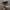 Converse John Varvatos Snakeskin photo 1
