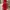 Prom dress Wanita red photo 1