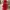 Prom Dress Wanita Red