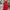Prom dress Wanita red photo 3