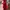 Prom dress Wanita red photo 2