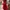 Prom Dress Wanita Red